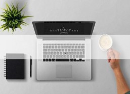 吃瓜系统文娱乐圈女主,瓜田里的璀璨星光