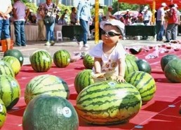 每日大赛吃瓜入口