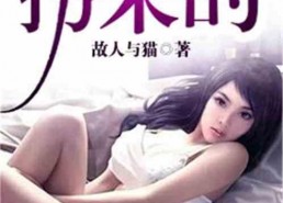 娱乐吃瓜酱的女朋友小说,一场跨越圈层的甜蜜邂逅