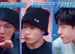 娱乐吃瓜君王嘉尔免费阅读,揭秘娱乐圈的瓜王传奇