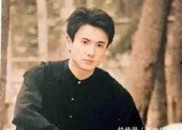 娱乐圈吃瓜大合集杨洋,娱乐圈风云变幻中的璀璨星辉