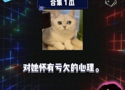 娱乐八卦开心吃瓜视频,开心吃瓜，揭秘明星幕后故事