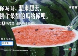 吃瓜娱乐圈的文案,揭秘明星幕后故事