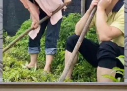 cos娱乐吃瓜群众一号,揭秘吃瓜群众一号的幕后故事